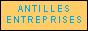 Antilles Entreprises - Portail économique